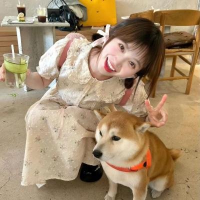 家有父母 海报